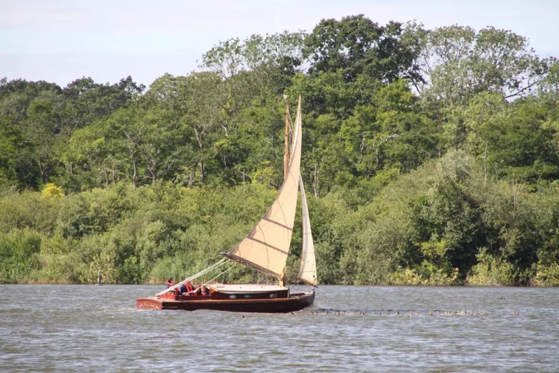 Wood Class (c) Hunter's Yard