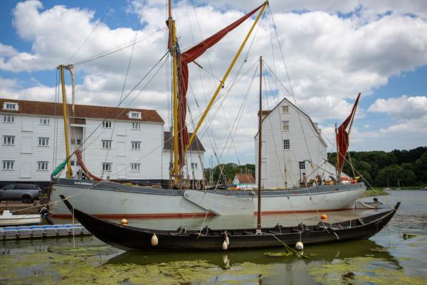 Blue Bird at Woodbridge