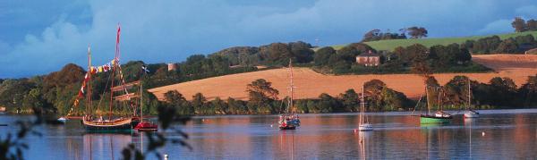 Grayhound - launch day